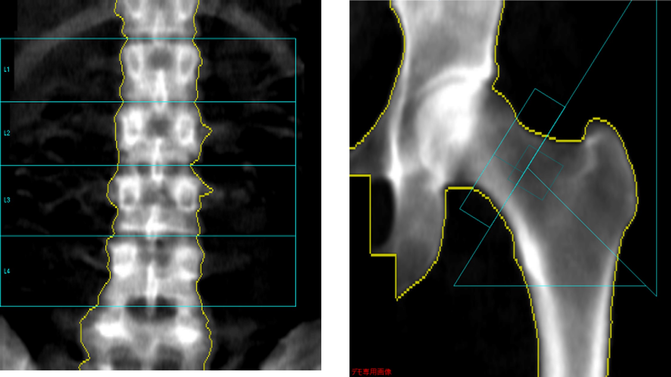 Clinical Tips_yokohamashitobu03.jpg